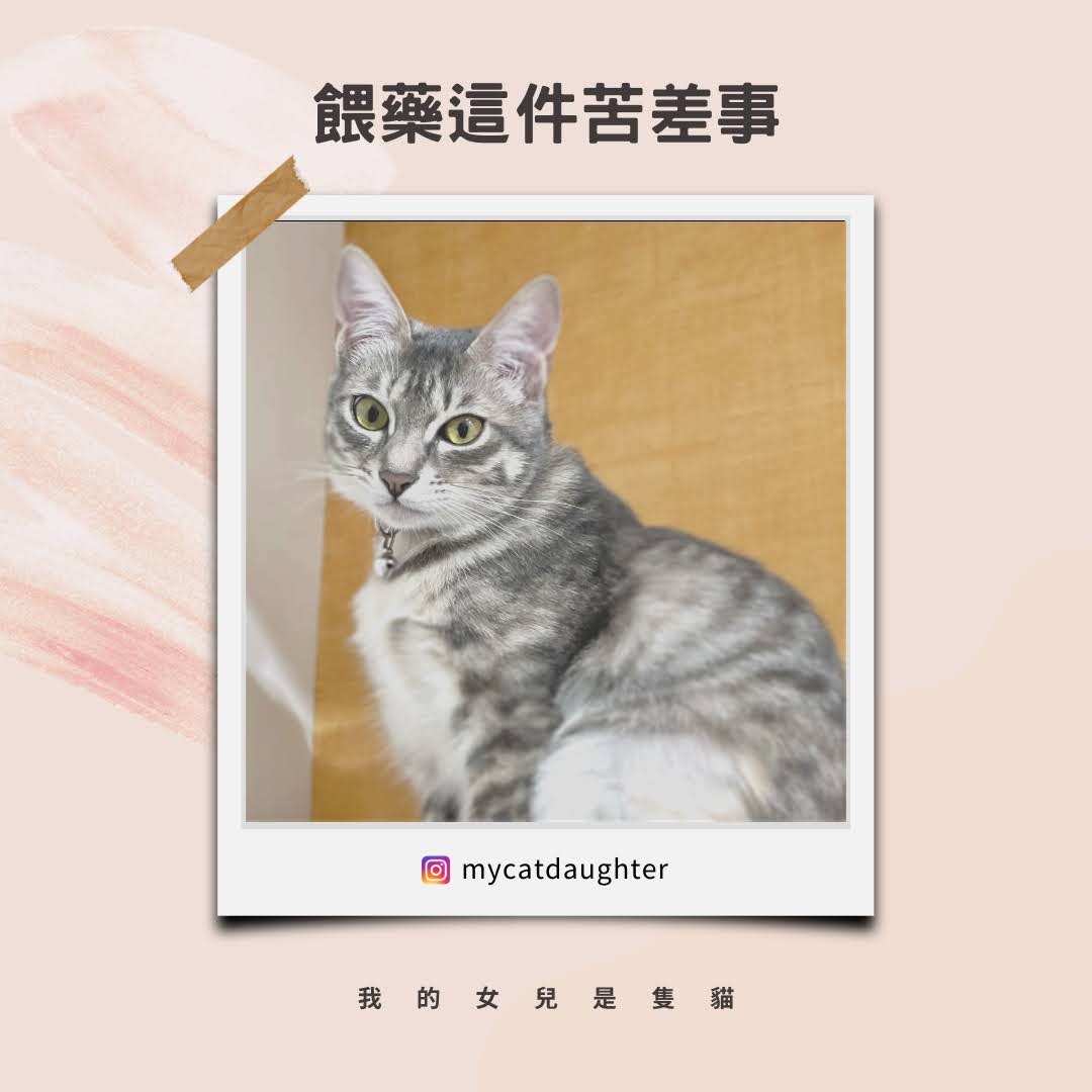 餵藥神器-活力博士-起司營養膏-中獎開箱試吃