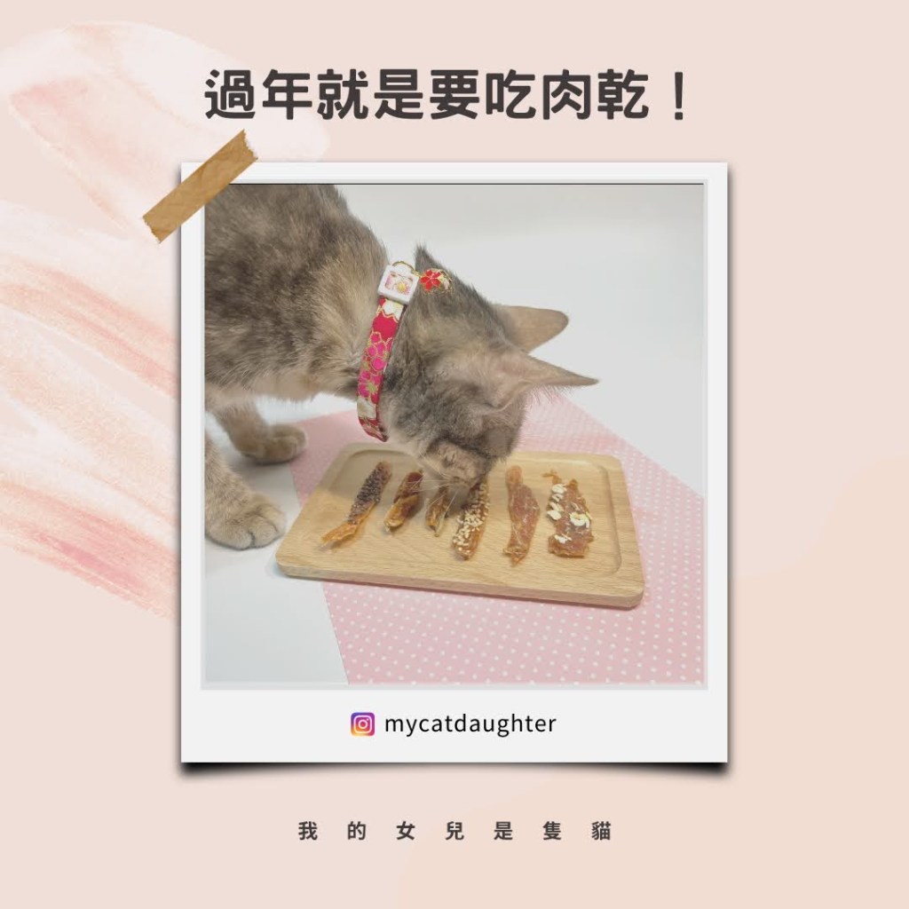 過年就是要吃肉乾！品諾可小舖-肉乾果乾福箱–中獎開箱試吃