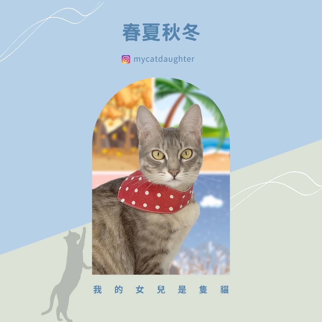 春夏秋冬-喵旬食-春夏料理、秋冬料理-補水罐-開箱試吃￼