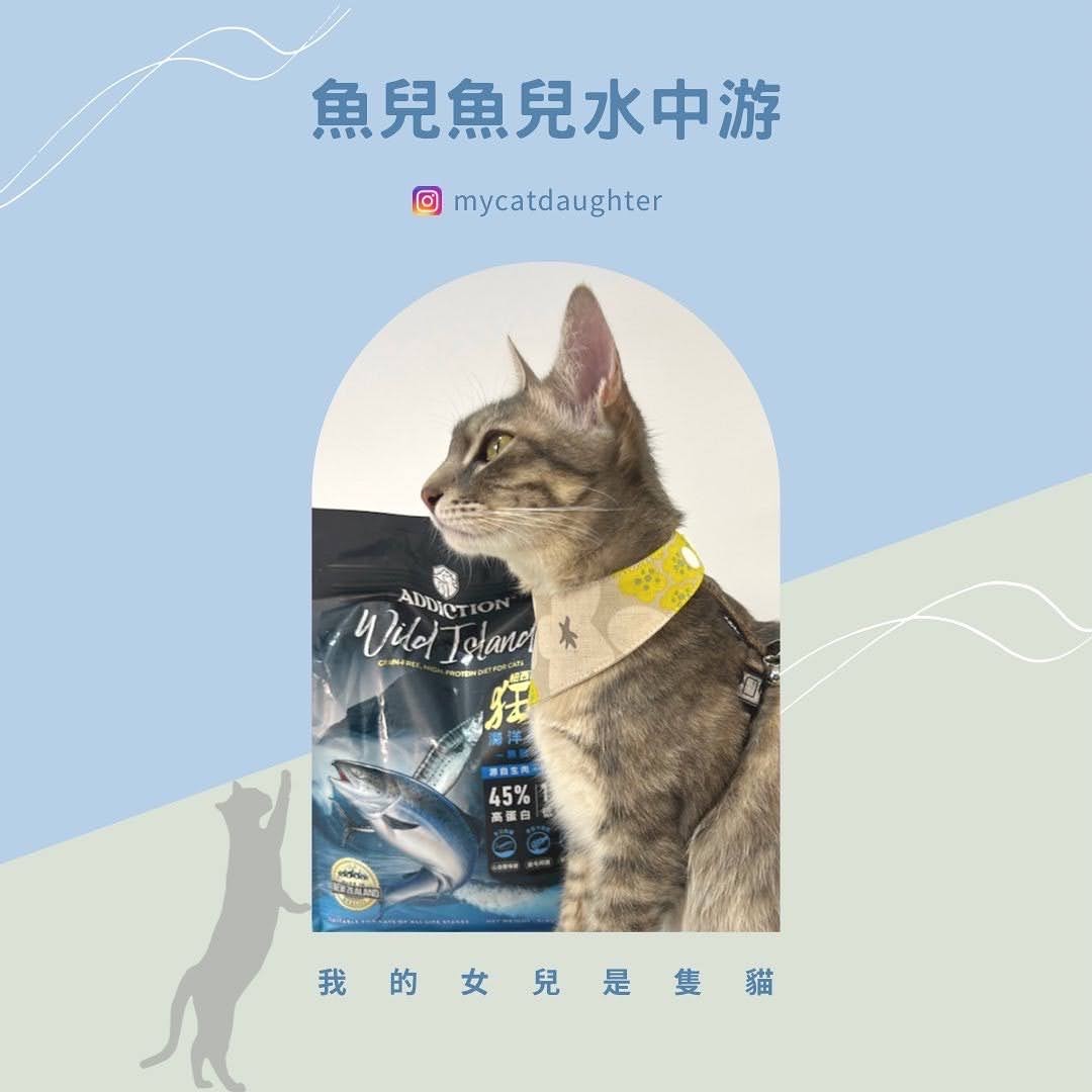 魚兒魚兒水中游-紐西蘭狂饗-海洋多種魚-低敏低碳水飼料-開箱試吃