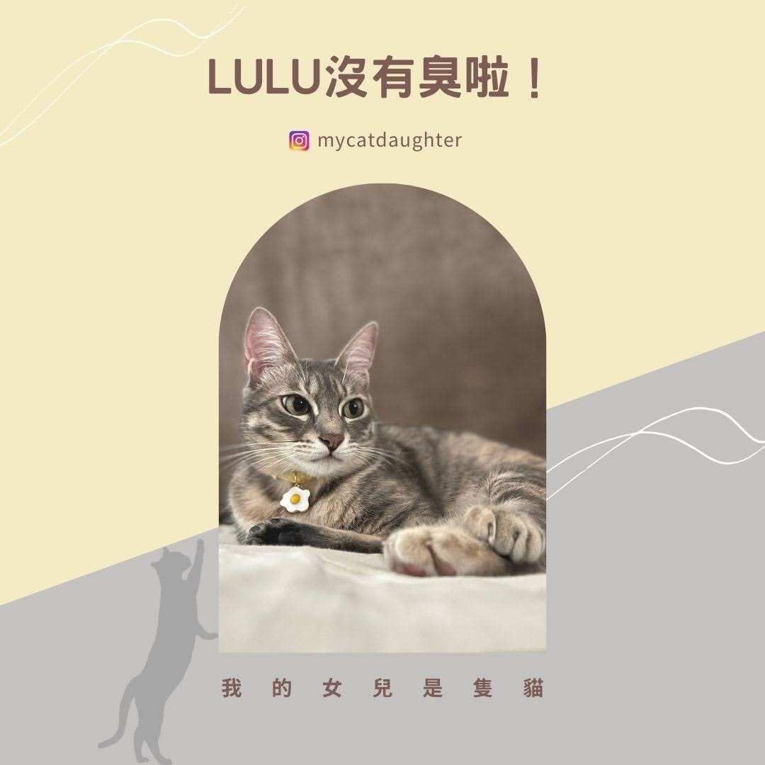 LuLu沒有臭-CHIC CLUB條紋共和國-沒有臭清潔系列產品-開箱試用￼