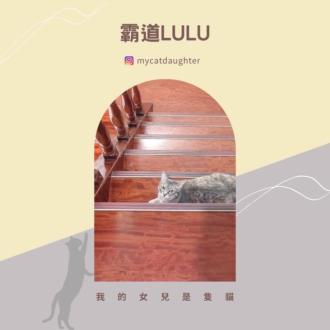 霸道LuLu-沐牧子MUMUZI-人寵共用清潔產品-開箱試用
