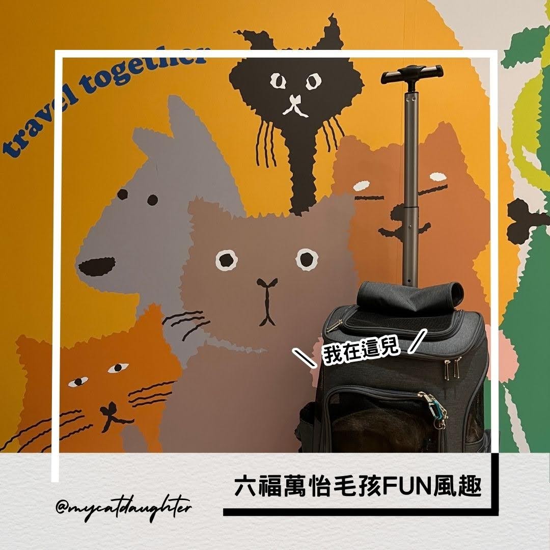 台北六福萬怡酒店-寵物友善飯店-毛孩FUN風趣專案-入住體驗