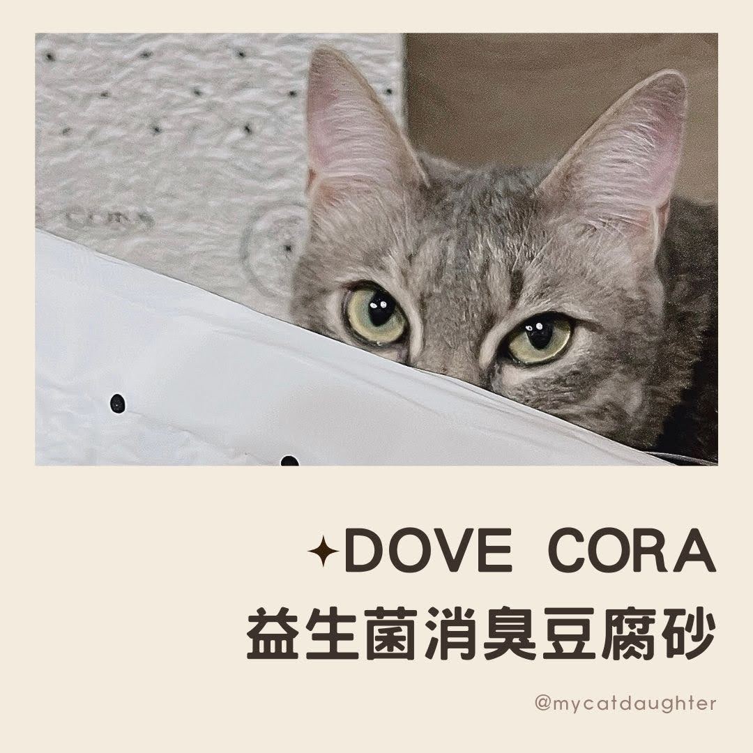 DOVE CORA 朵芙寇拉-從裡到外都很高級的精品貓砂！LuLu開箱試用