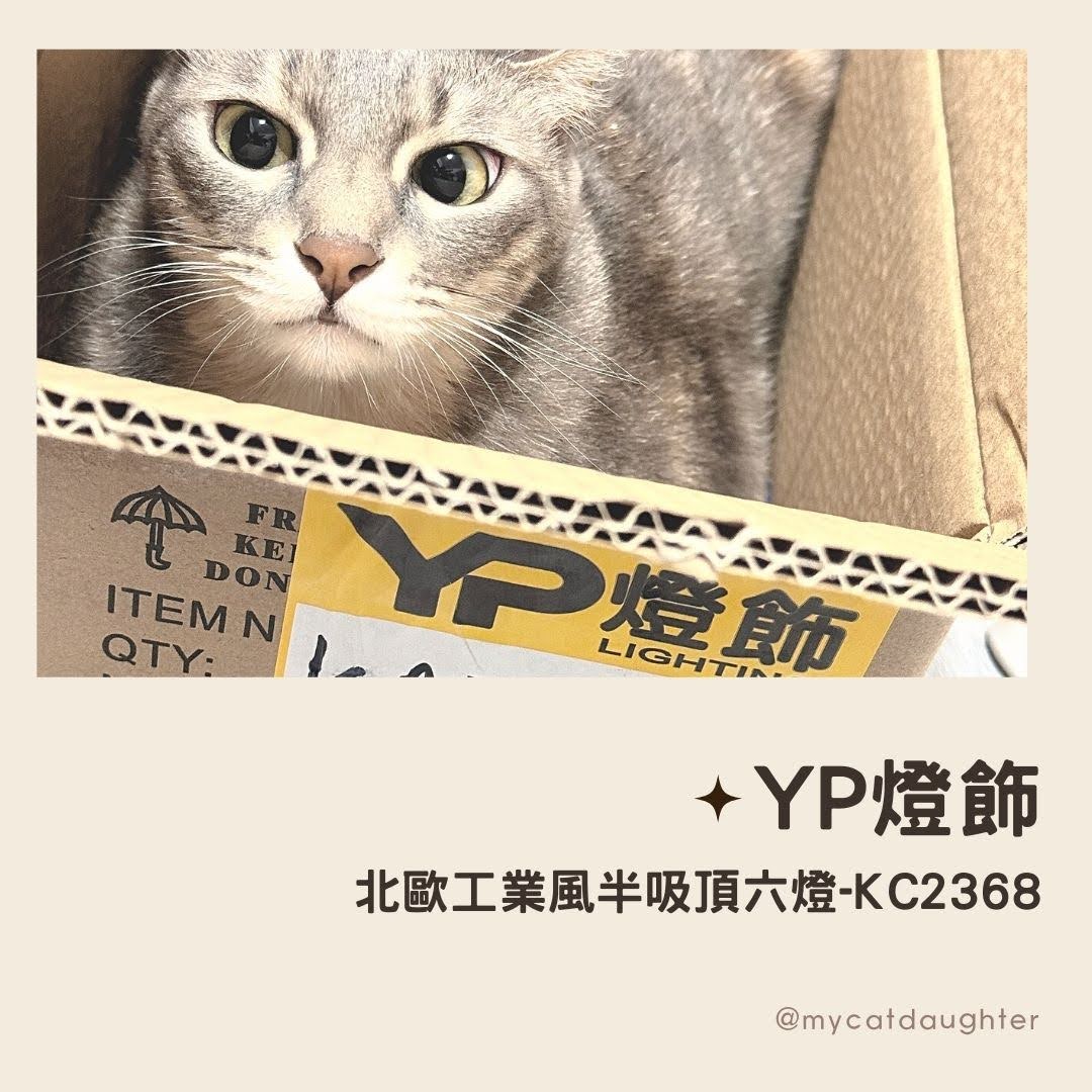 YP燈飾-北歐工業風半吸頂六燈-KC2368-燈具安裝DIY-網購燈飾推薦-LuLu麻麻開箱