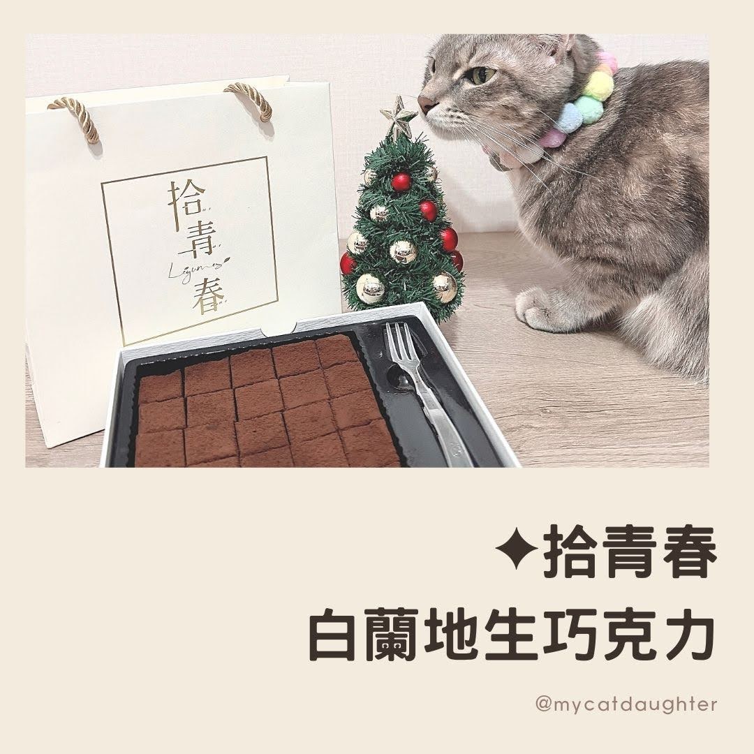 拾青春Legumes-白蘭地生巧克力-豆腐生巧克力-桃園中壢伴手禮-辦公室團購美食-LuLu麻麻開箱試吃