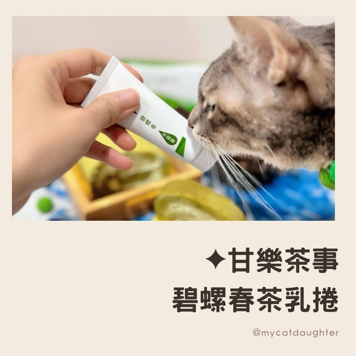 【甘樂茶事】碧螺春茶乳捲-三峽特色茶味伴手禮-職人手藝打造-蛋糕+奶霜+茶凍-滿分療癒系甜點-LuLu麻麻開箱