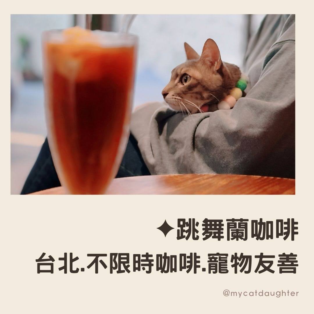 跳舞蘭咖啡-台北老屋咖啡館-大稻埕老宅咖啡廳推薦-大稻埕美食推薦-不限時咖啡店推薦-寵物友善咖啡-免費WIF-有插座-LuLu麻麻開箱