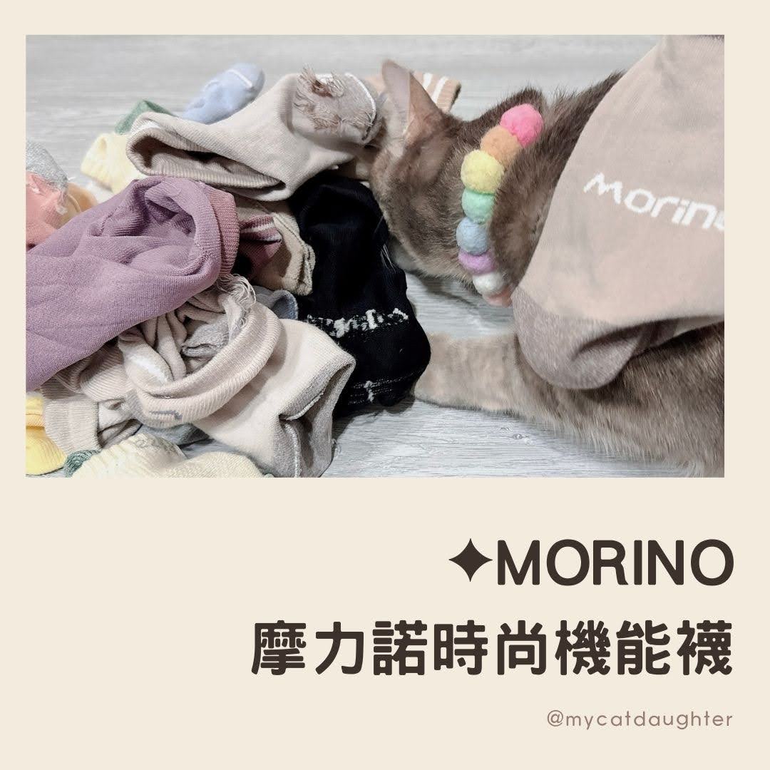 MORINO摩力諾時尚機能（抗菌消臭襪、吸汗速乾襪、可愛造型襪）LuLu麻麻開箱