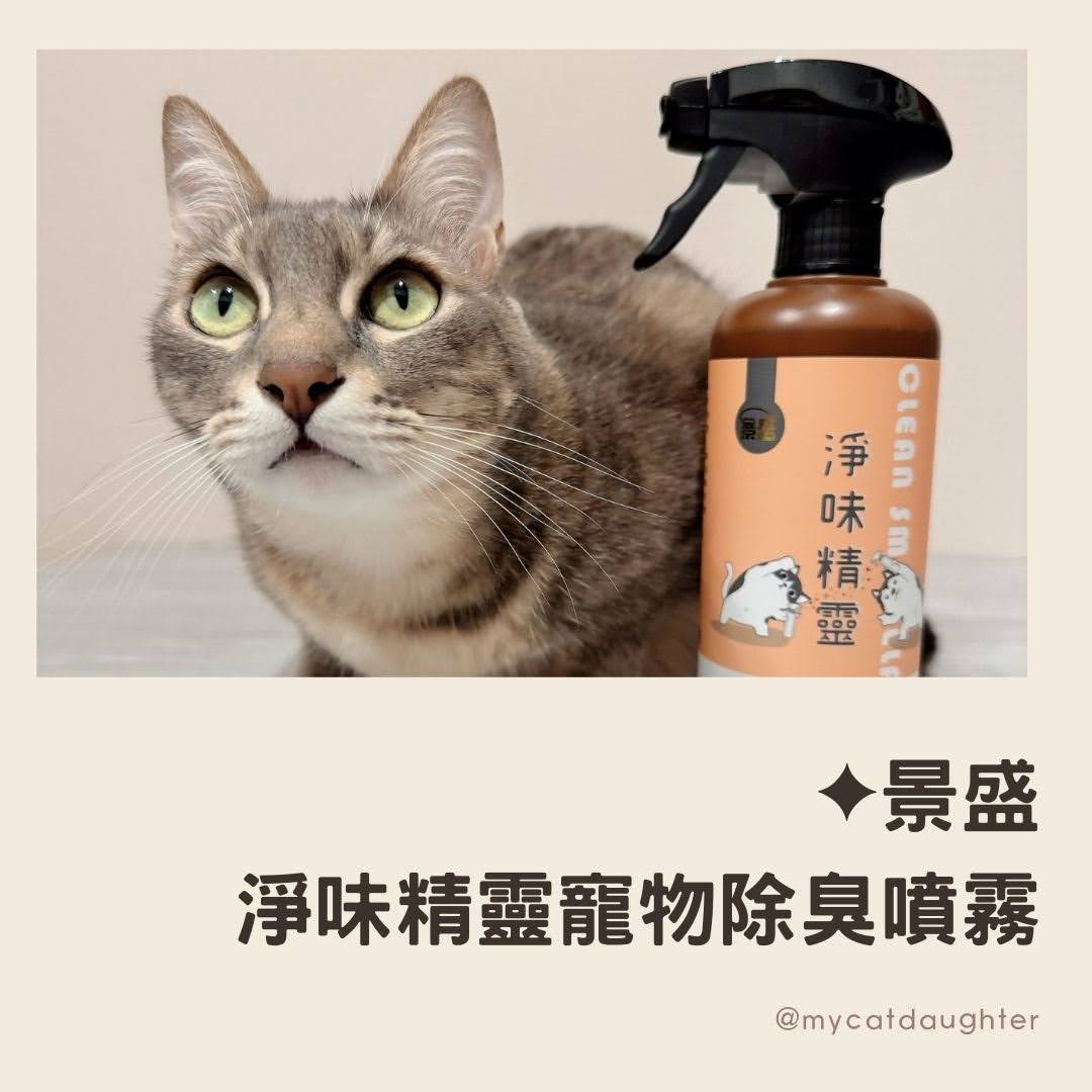 貓咪狗狗亂尿尿怎麼辦？景盛除臭噴霧-淨味精靈寵物除臭噴霧-空間除臭-中和異味-LuLu開箱
