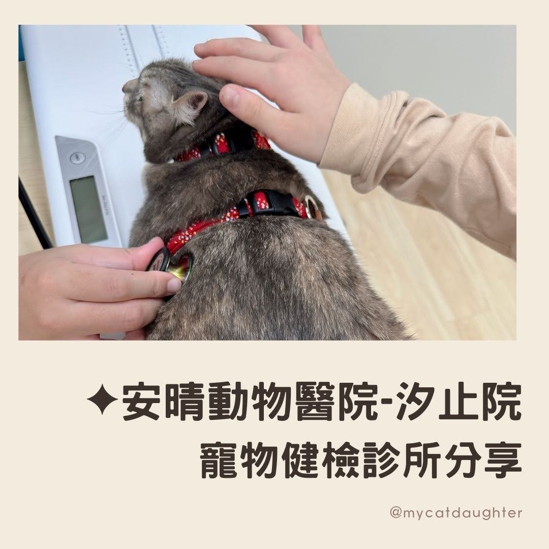 安晴動物醫院-汐止院-貓健檢分享-貓狗各別診間-鄰近汐止觀光夜市-鄰近公有停車場-LuLu開箱