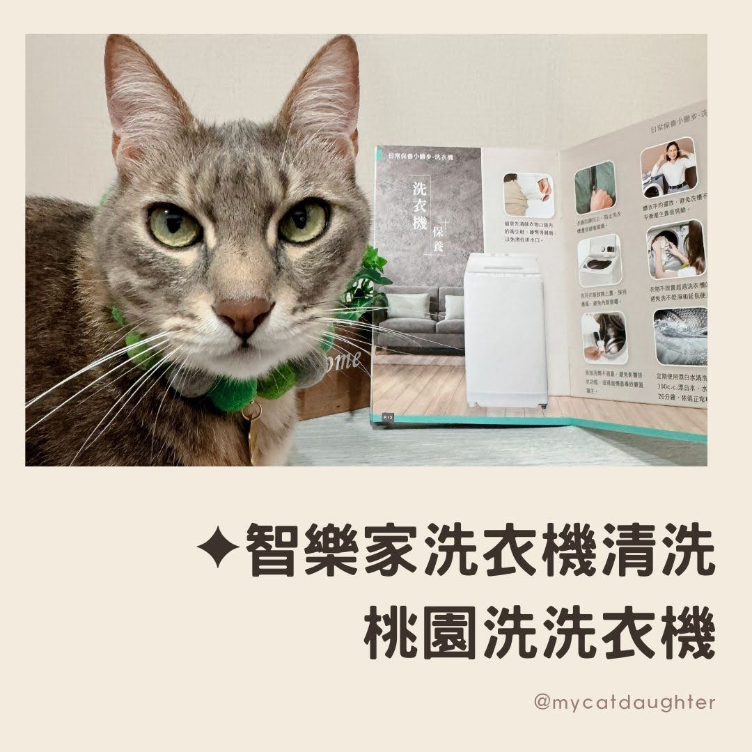 智樂家洗衣機清洗-桃園洗洗衣機推薦-洗洗衣機-LuLu麻麻開箱