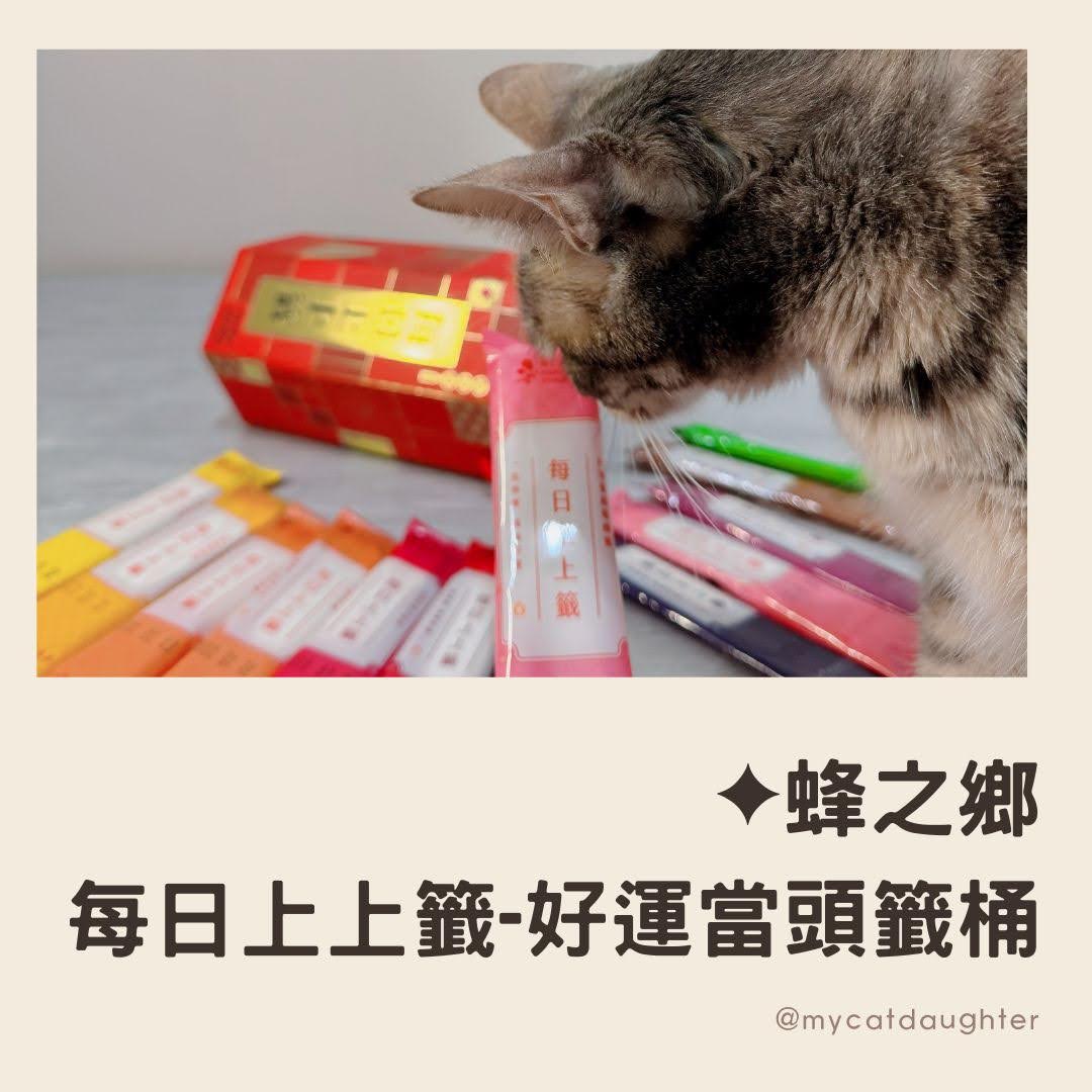 蜂之鄉-每日上上籤-好運當頭籤桶-台灣蜂蜜-好運花露蜜-花蓮特色伴手禮-LuLu麻麻開箱