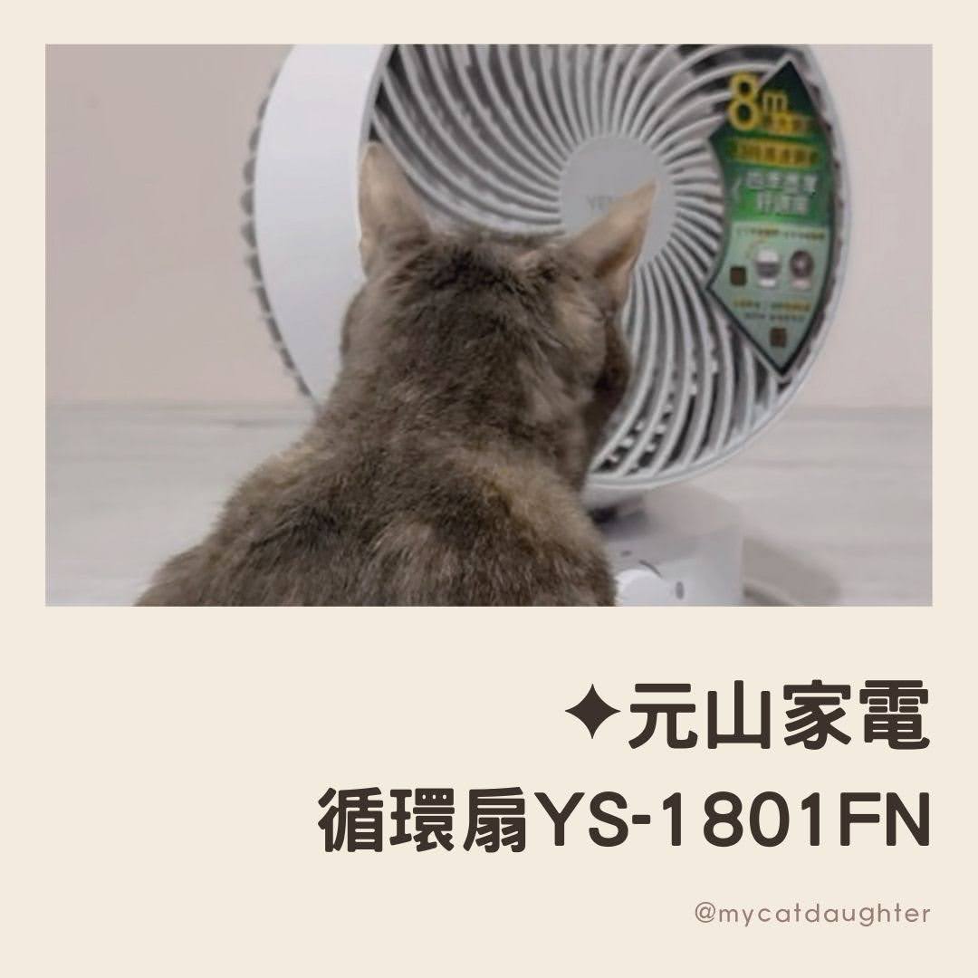元山家電-夏日循環扇使用心得-空氣循環扇開箱-少開冷氣省電費-LuLu開箱