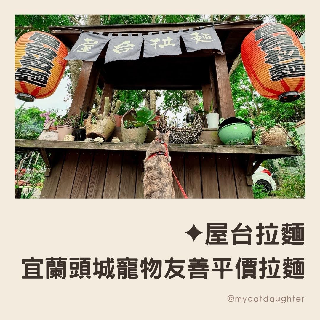 屋台拉麵-宜蘭頭城美食-宜蘭頭城寵物友善餐廳-親子友善餐廳-CP值高好吃拉麵分享-有停車場-LuLu麻麻開箱