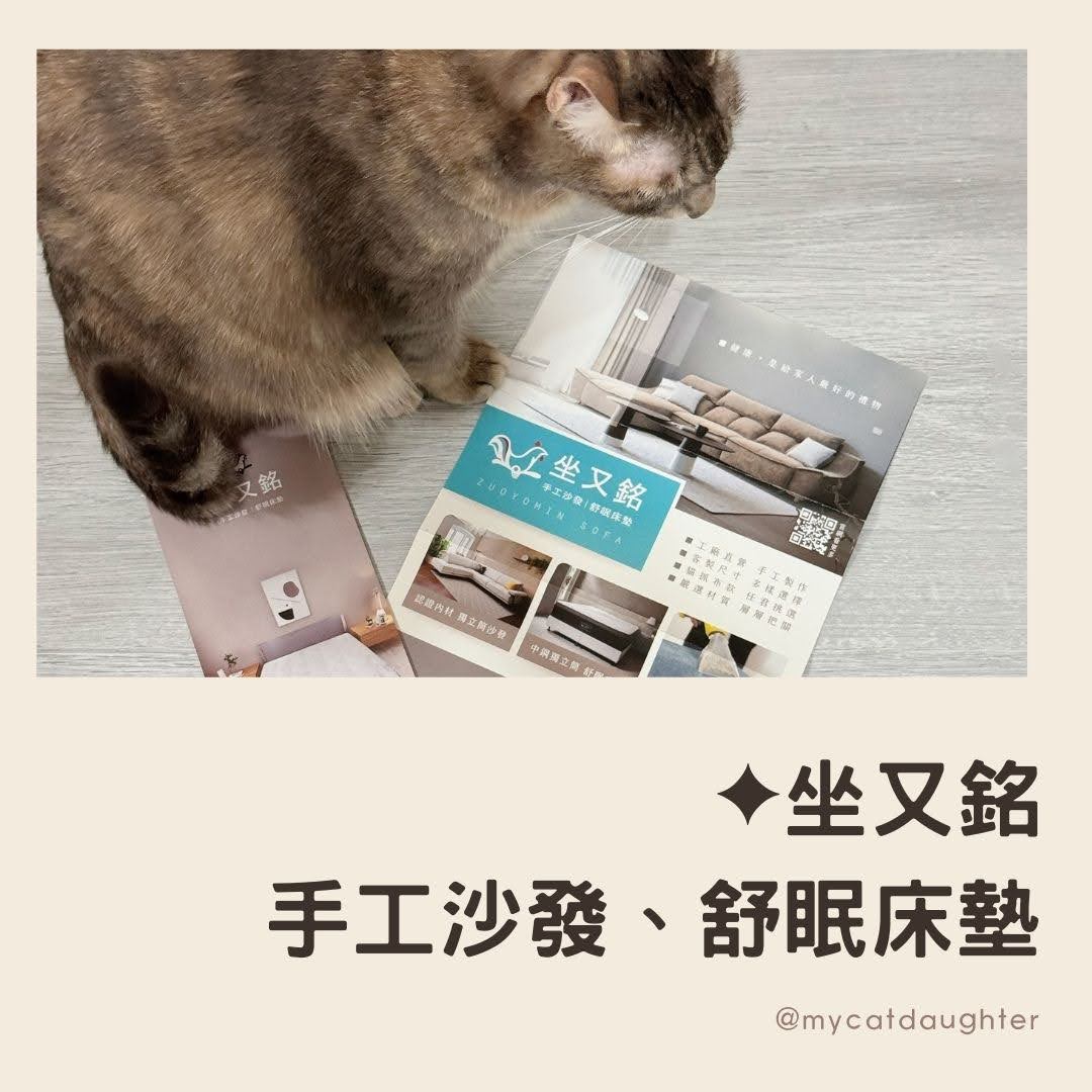 竹北坐又銘沙發-貓抓布沙發-新竹沙發推薦-坐又銘沙發評價-新竹床墊試躺推薦-LuLu麻麻開箱試用