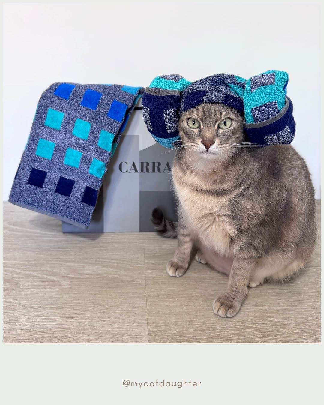 日比家族-義大利寢具品牌CARRARA-低調奢華寢具分享-簡約設計寢具開箱-LuLu麻麻開箱